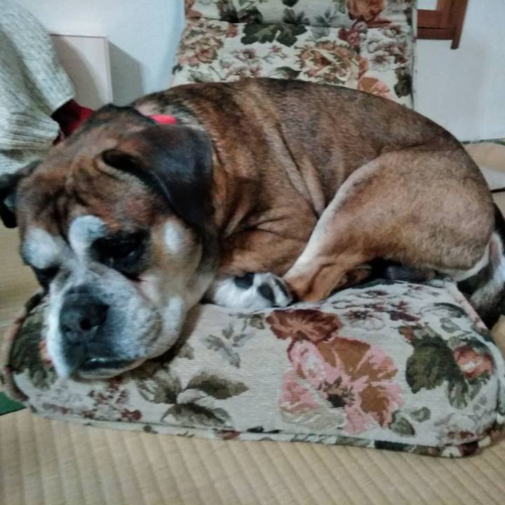 C1dc6d59 56e9 4bbb b41e ec93cf1c4354 1554258135123