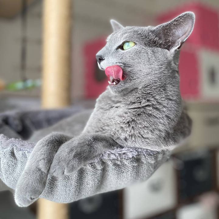 C1dcbbce 1a77 4948 9e36 1589d8159570 1626310913483