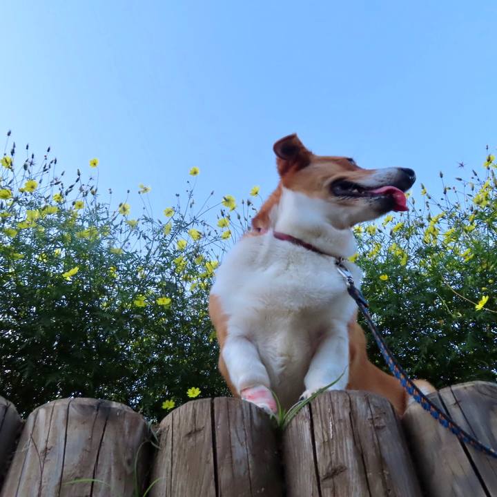 C1dcc12c c974 4caf b863 5b9c8f255e46 1633918468677