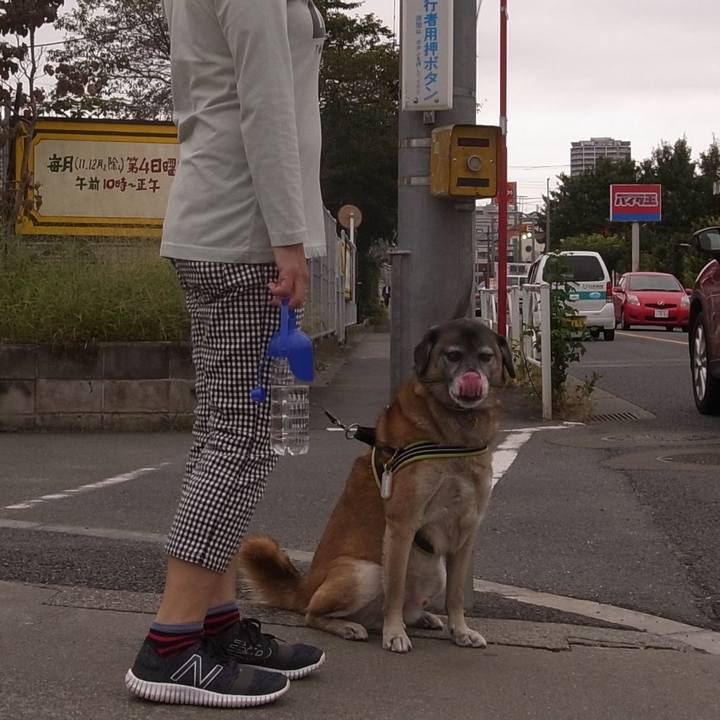 C1dd4829 f4c7 48d1 a12c 608265342560 1590668816727