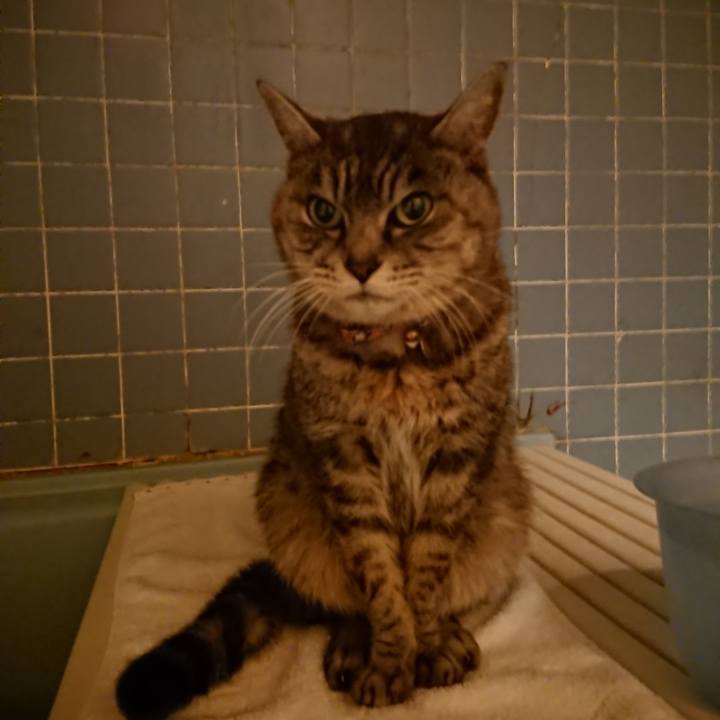 C1dd8e5b 9c9e 4cd2 9b02 ec3c4818459d 1580116967731