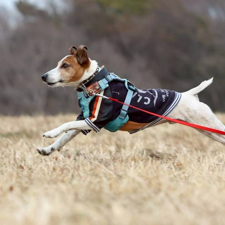 C1ddb30b c68a 4015 8ca3 1753aa056c81 1771160188791