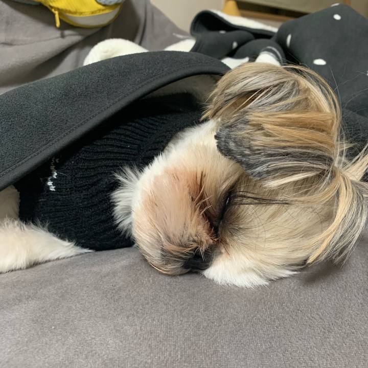 C1dde6b2 bb91 4fd3 b65c f31a2c3567d1 1645361703243