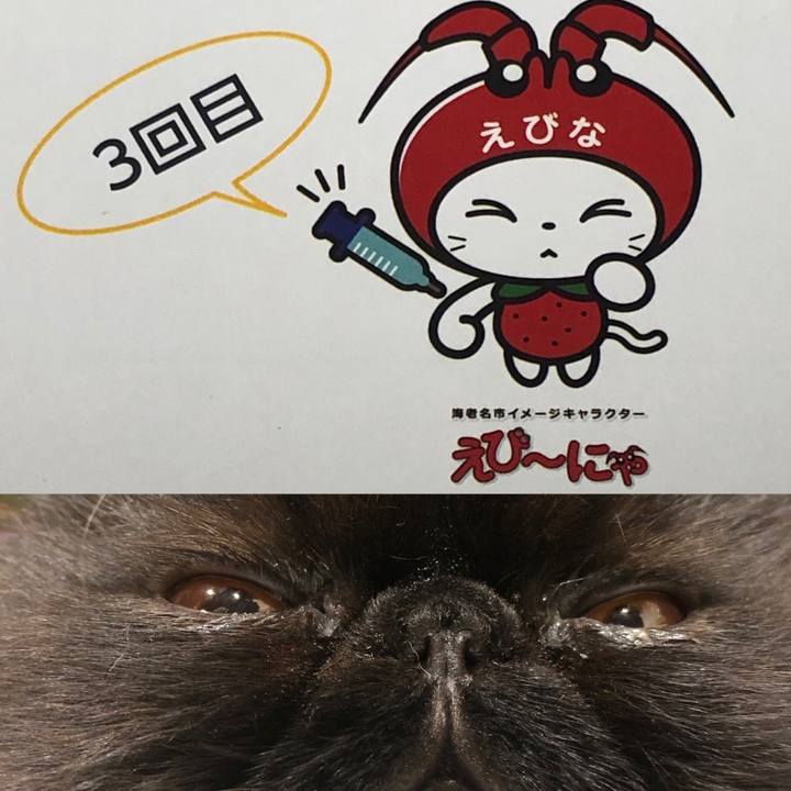 C1ddf3e2 33b0 4b11 ac02 07cda711e9de 1639122647307