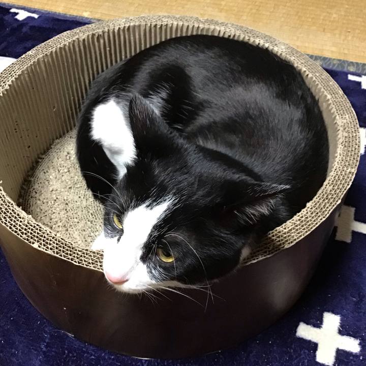 C1de3446 dedf 4fa8 b4cd ff86f6e1c476 1708076888051