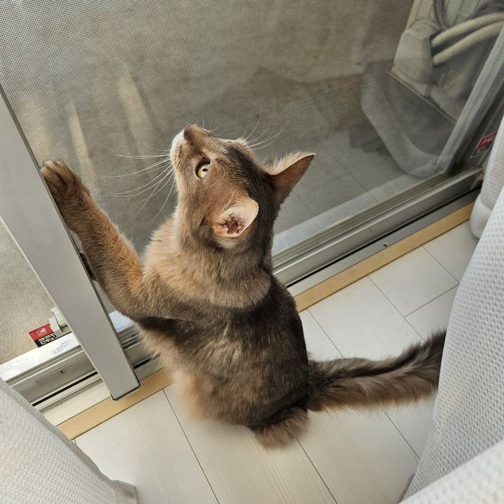 C1de5b14 5336 4c48 82ac cba928544a22 1707695680489