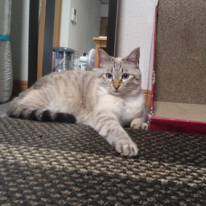 C1de9800 5e69 48bb 90df 0ce395473b59 1508649078711