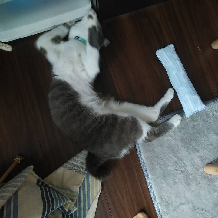 C1dea0db fafe 4c3e 9e73 3fef20b9ee45 1591484170957