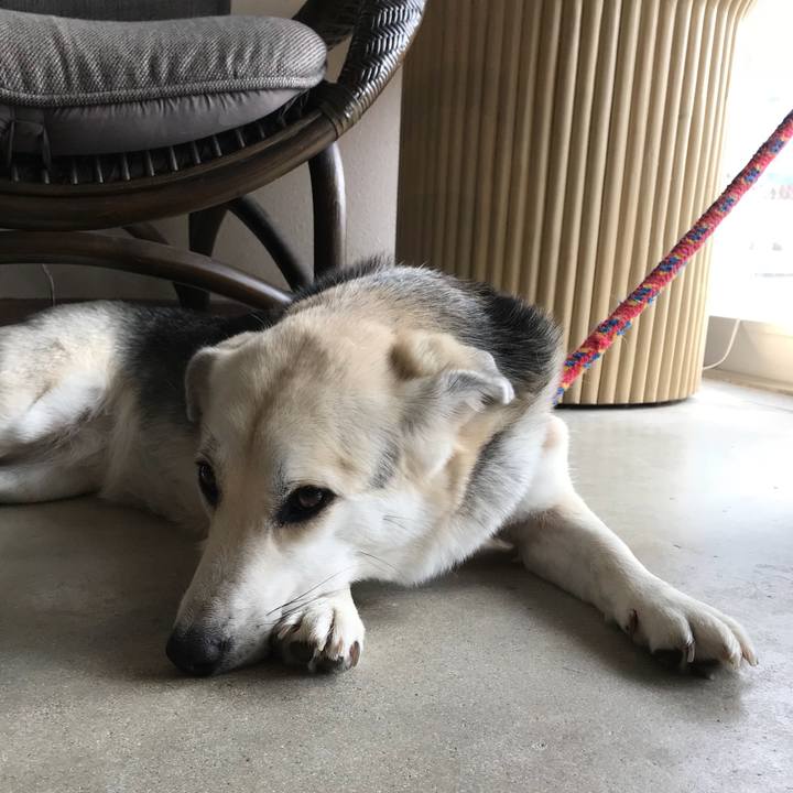 C1deb848 2f09 45e6 87e1 b0a921f23ad0 1519864817057