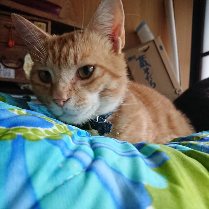 C1dec8f5 eac4 4db3 a562 fcb25f8464a7 1560677542110