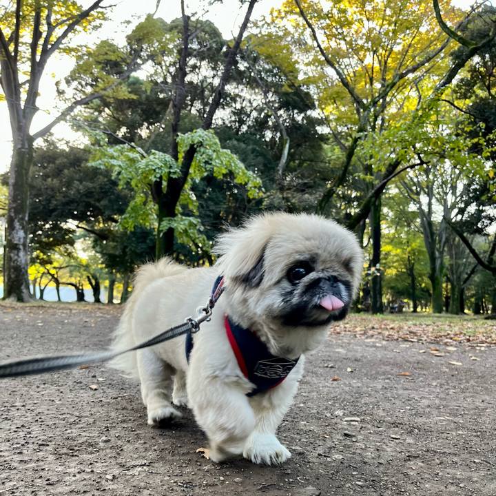 C1df2167 8eee 421b 947a 269a01c7e199 1730588874311