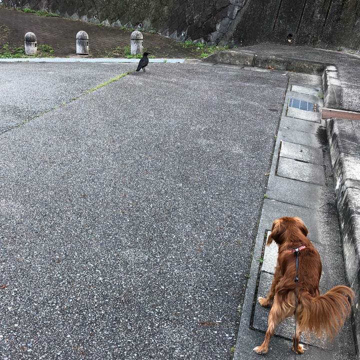 C1df5a5d cc4c 4ba9 bb26 463956d3bf53 1528541128987