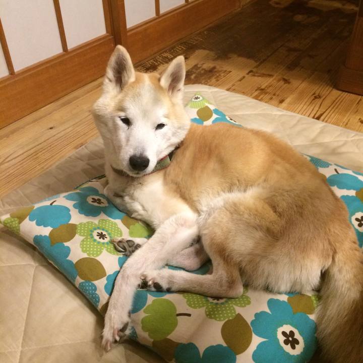 C1df682c b396 42cc a76e 70c812a12a0e 1568904603974