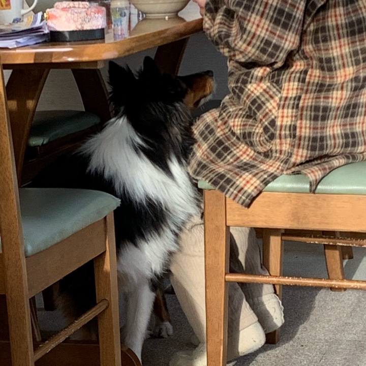 C1df6b9f 84a1 4fa3 aebb 1387105f6057 1549149136987