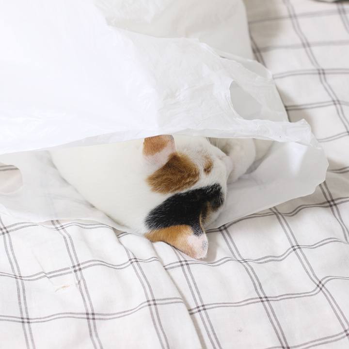 C1df6ebd af63 418b ada9 d15a0a042acd 1598055436791