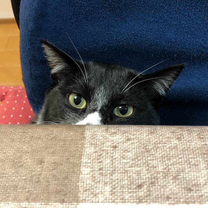 C1dfc9a7 ba5a 49ae 9903 e04661786a23 1543895771813