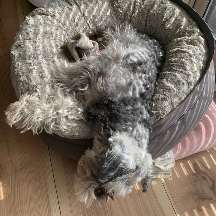 C1dffbe3 1e28 42e8 8720 820ef82a6037 1675822025183