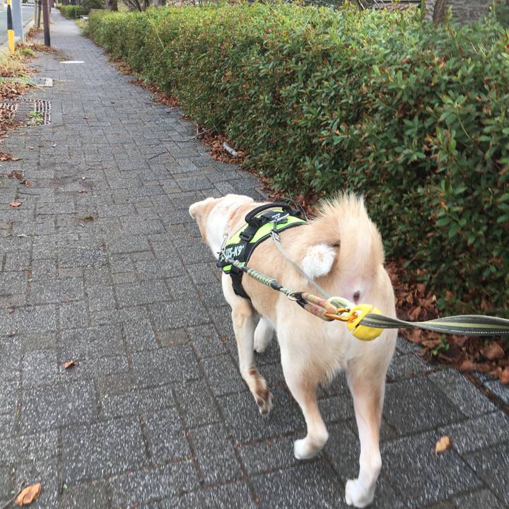 C1e00a39 96db 470c a7dc fd862378f476 1540250148904