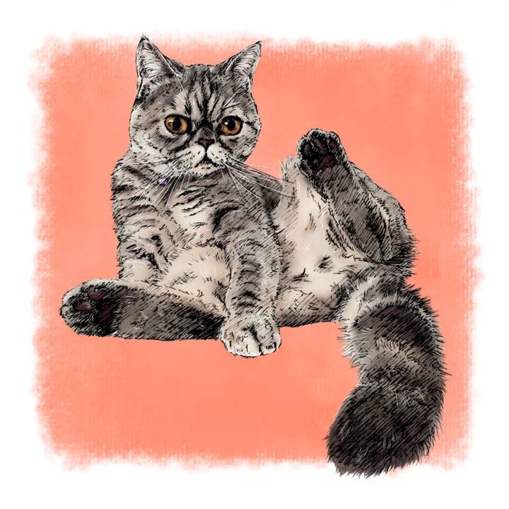 C1e01cc8 dba6 46d0 b560 515d2bf3dd1f 1619274909050