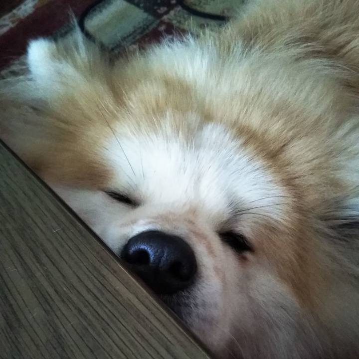 C1e038af b519 4009 aade 907b8c533861 1613827208074