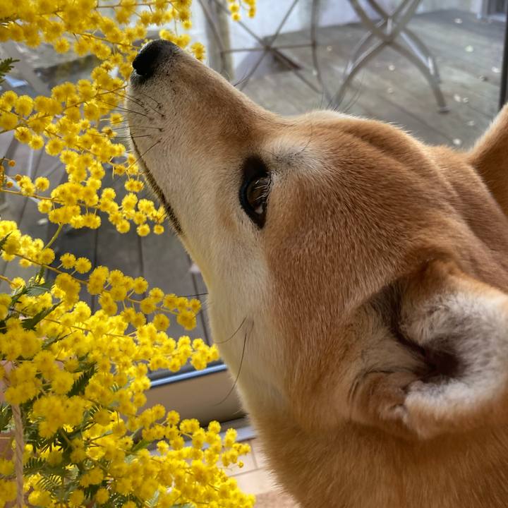 C1e038f8 a67d 461e 936f ff7745a2c324 1646614307868