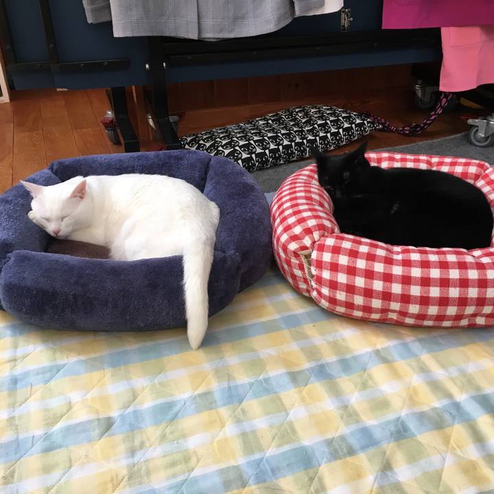 C1e08047 db8d 4e04 aa7b 0ca4a4a46fc2 1525000735435