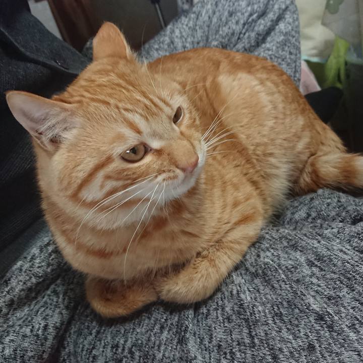 C1e0e3b4 a0e9 449f 9719 120165234f13 1649229180468