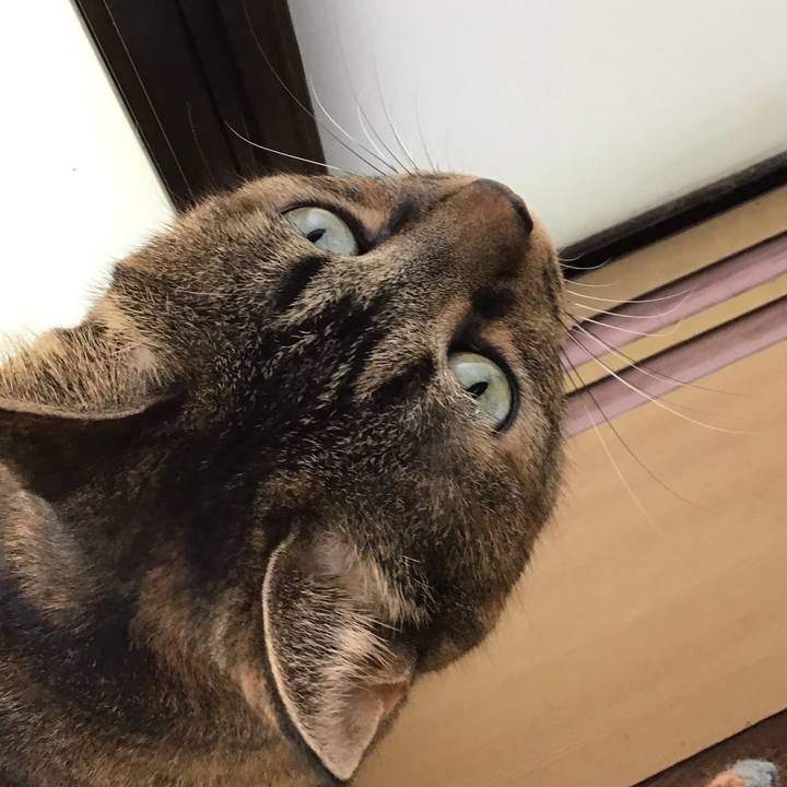 C1e11cd4 8e7b 476c 9dcb ee7e6f32ae1d 1760759783420