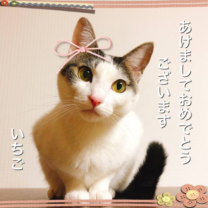 C1e14c9f c722 40ba 9382 447633cf718e 1609468494973