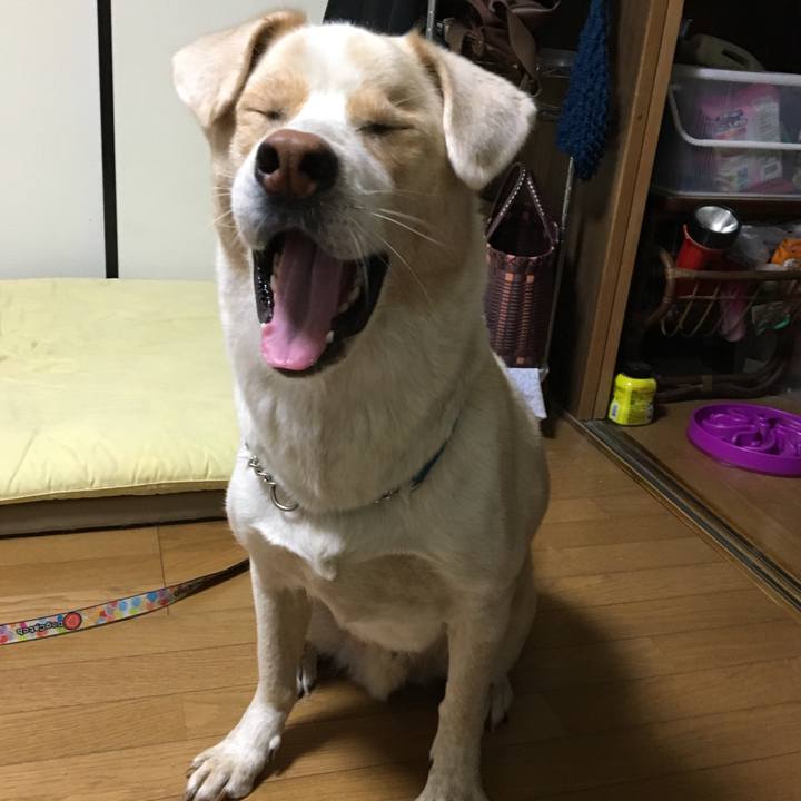 C1e15dd0 4bee 45fc b8a8 3924fa7ad6b7 1537176957705