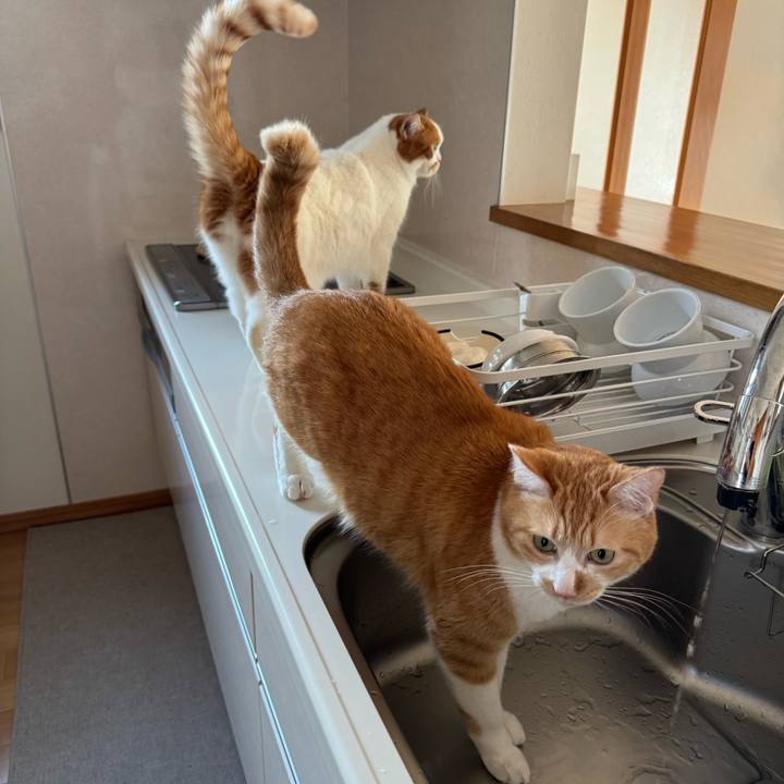 C1e168a6 332d 4896 9cf4 0e7cbbb7b223 1772158537722