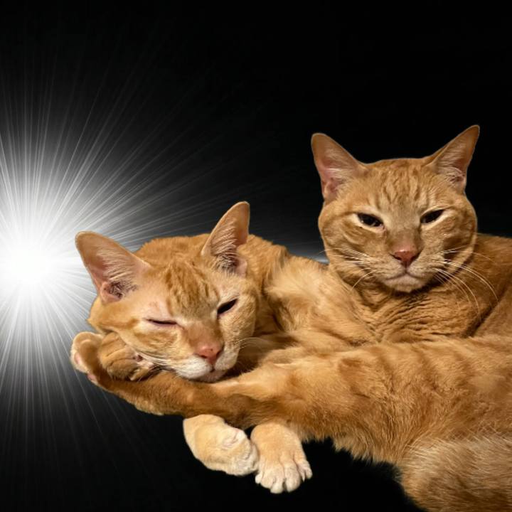 C1e1707b 2b6e 4617 a6c9 3106e2ae20b3 1775647467122