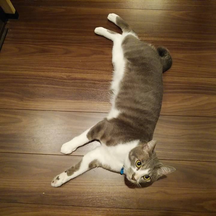 C1e19b41 6416 4d17 b278 9d5cc2767d70 1594646902991