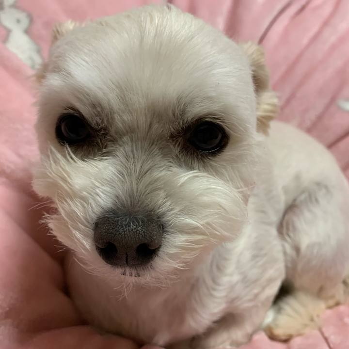 C1e1c9fc 3524 4c2f 8ff9 e5fb753c40a1 1587379659222