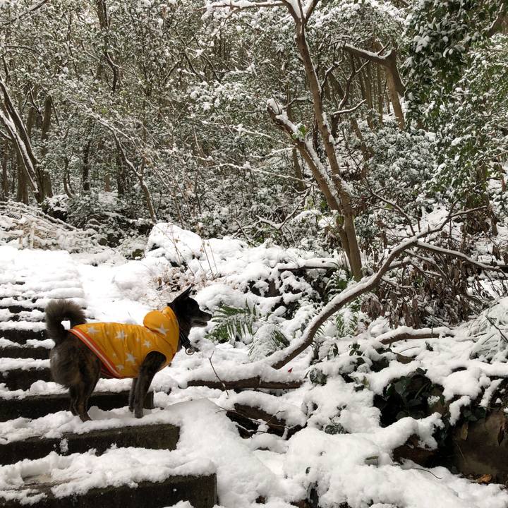 C1e1d9eb 4f65 430f afa5 5a78cac8a821 1612523570846