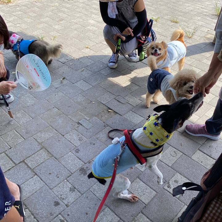 C1e24095 9d54 4de0 89d8 cefa6505299e 1597370095529