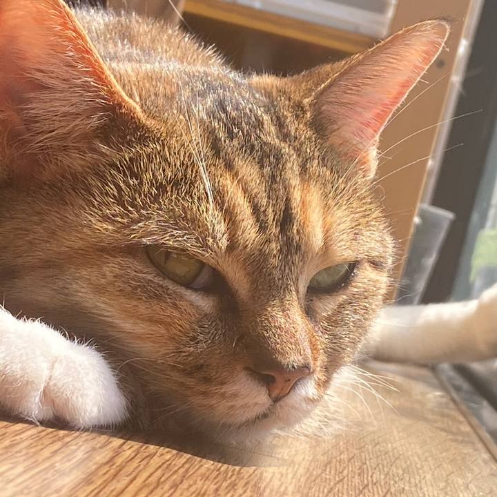 C1e25f59 9bb3 4132 b320 0881b3b827e9 1620439943251