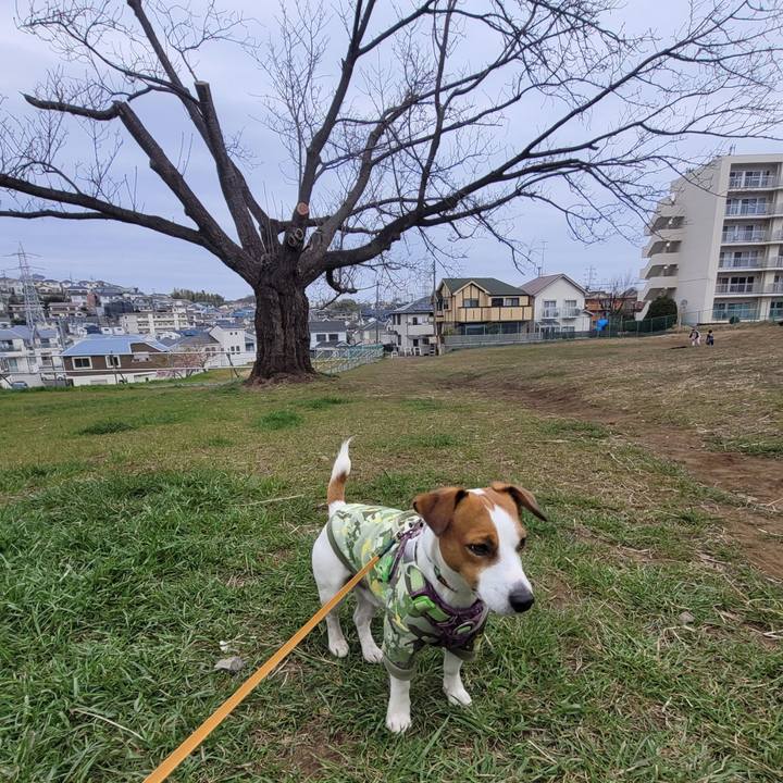 C1e285b3 5256 4636 bff0 8721e1c47bc5 1678010096179