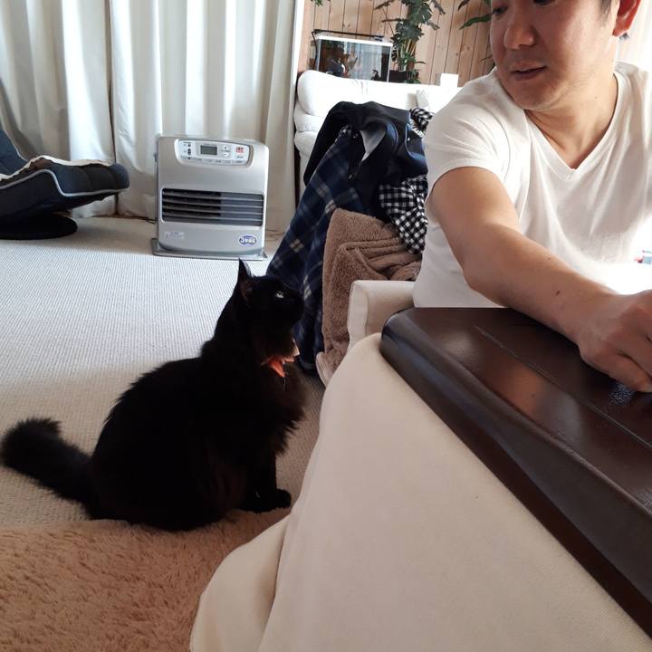 C1e2b418 3a05 4084 a57f 0fb9956a280b 1521094307094