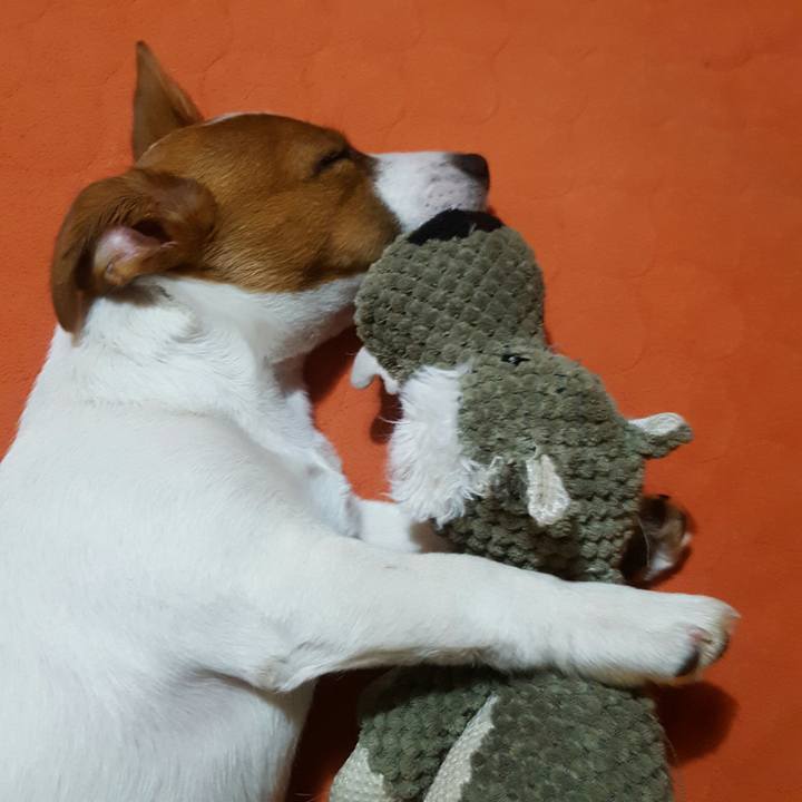 C1e2d8d6 ad8f 4765 9762 b88d0fce27cc 1553082526357