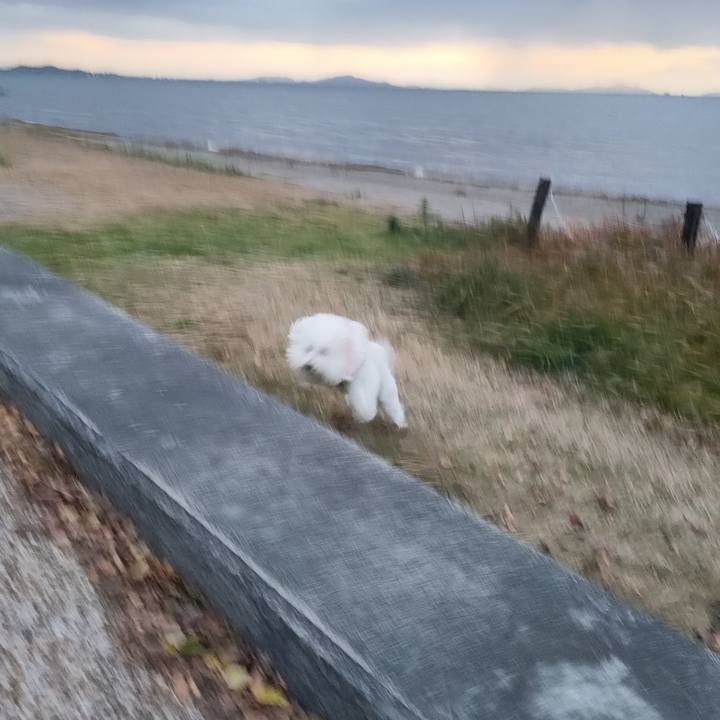 C1e32699 2bb8 4ef5 9fcf c87b0778f2fc 1764318913265