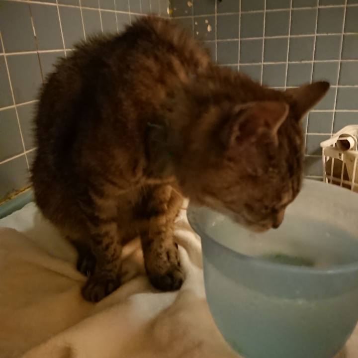 C1e351a4 4a2e 4239 a9dc 2ff173c36ed4 1567942771538