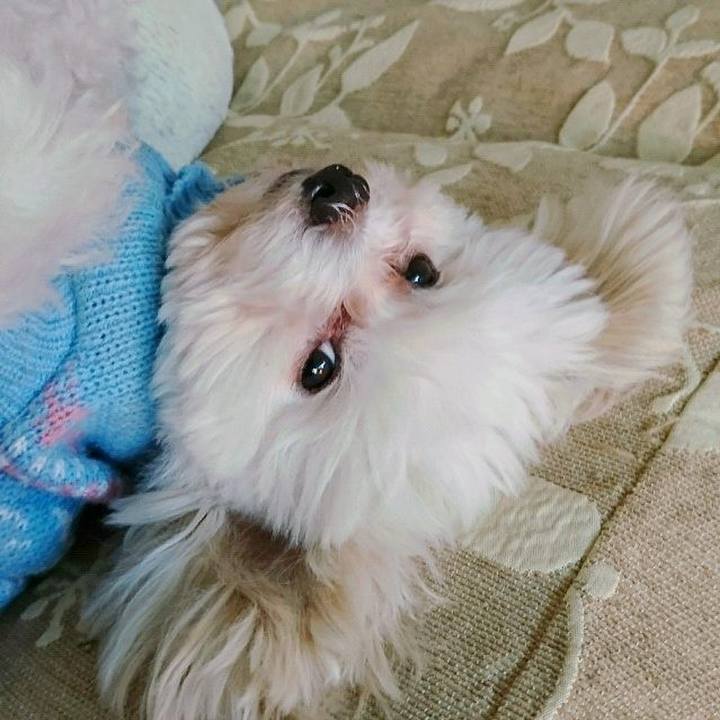 C1e35687 0e3a 4f1b 8258 874833293885 1520226156939