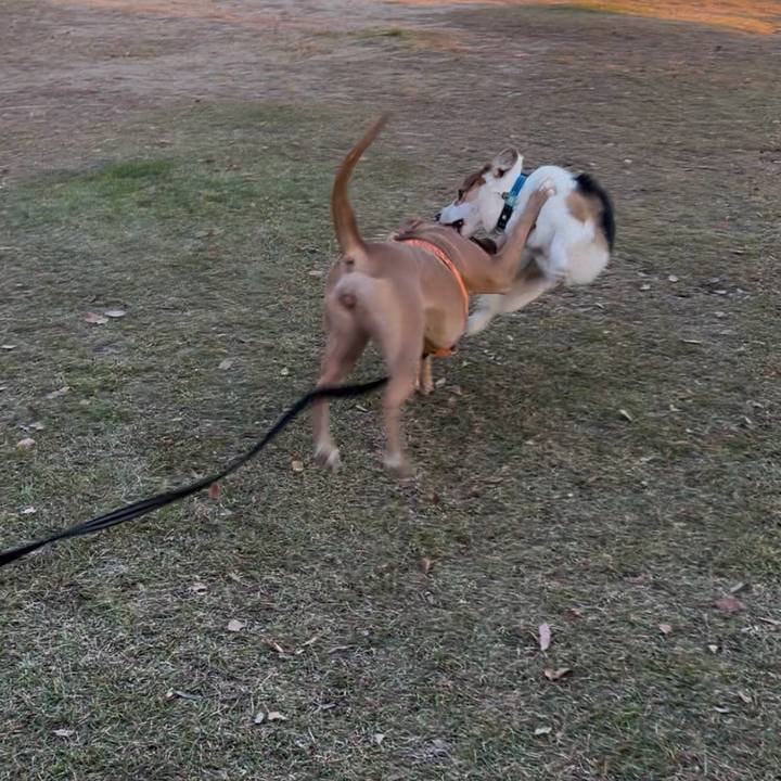 C1e363f2 58dd 4dce afdc 4ff5146c8f5a 1765340556910