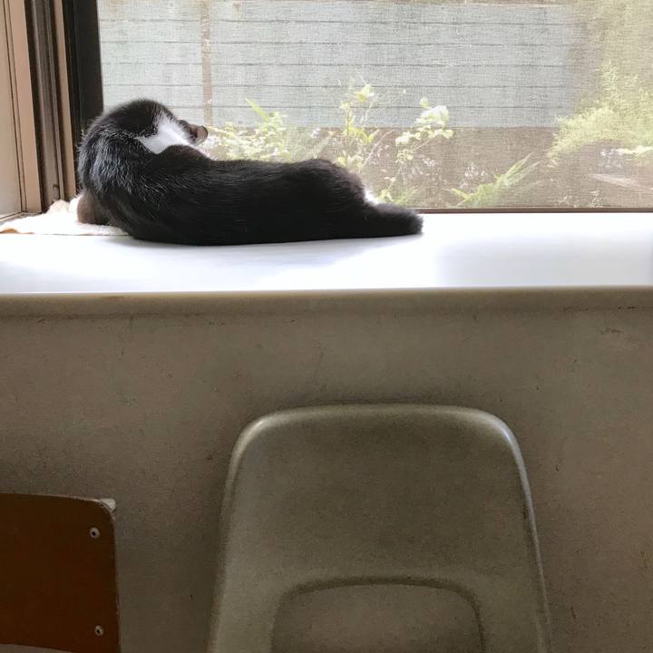 C1e395e2 7c55 4a82 9a3c ca86198d8dc4 1533085970703