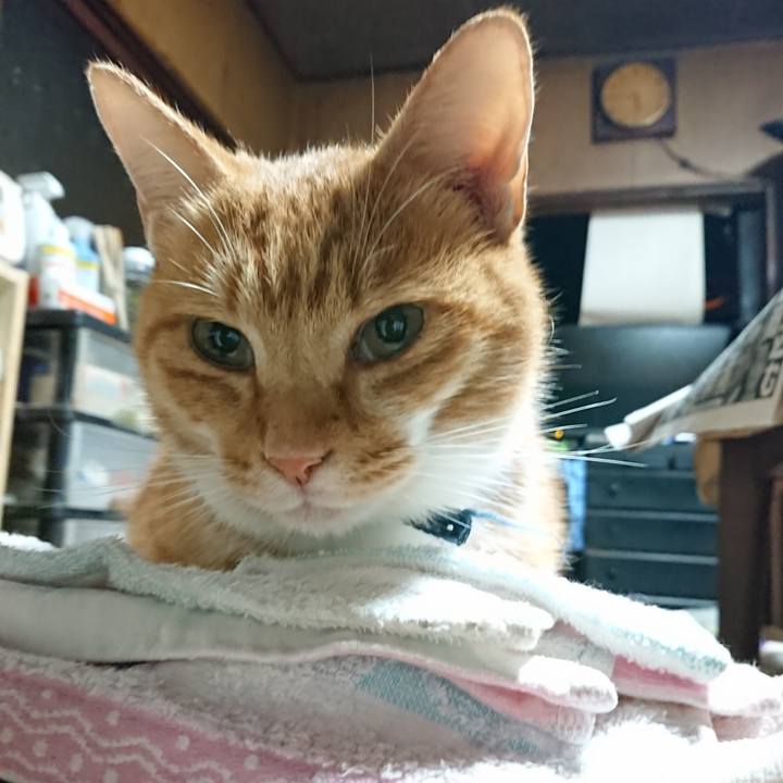 C1e3993e 362f 4ce4 9aa4 66a576b282af 1602104005667