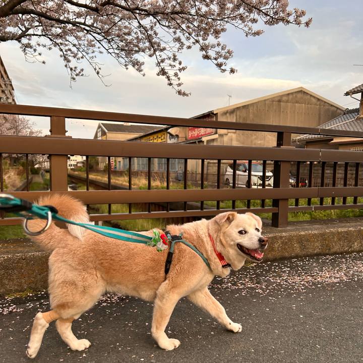 C1e3afc4 4721 4bde b86c 400858ef2c66 1775403103263