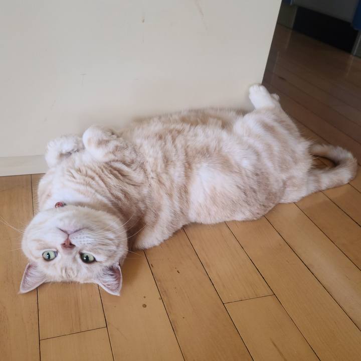 C1e3cf74 a1ca 4f93 8f5e b168f3628d22 1675746204203