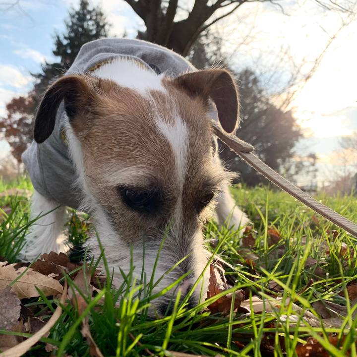 C1e3e0c5 7c3a 43ea b849 5dd5f00ead27 1576655391659