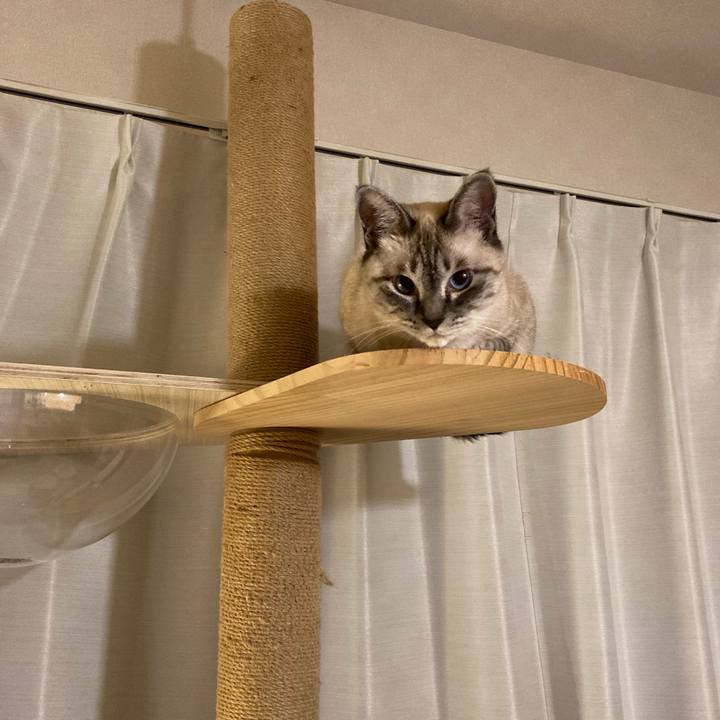 C1e47a47 eae0 4a7e a24c 6d534cd21c5e 1626609960252